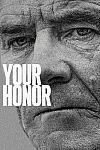 Your Honor (Temporada 1)